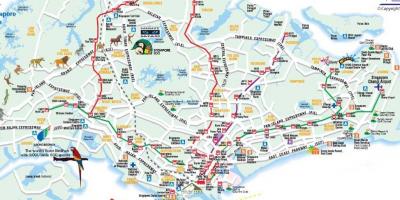 Ճանապարհային քարտեզ է Սինգապուրի