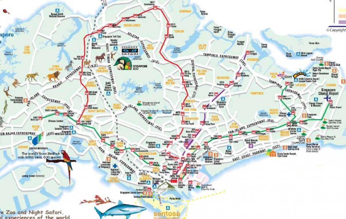 Ճանապարհային քարտեզ է Սինգապուրի